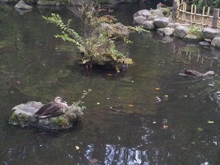 121002_113933.jpg