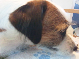 121024_072719.jpg