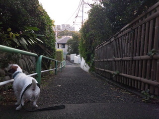 121031_153015.jpg
