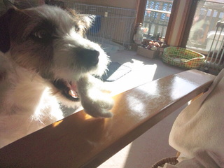 121231_140347.jpg
