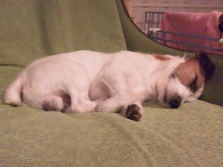 130105_223039.jpg