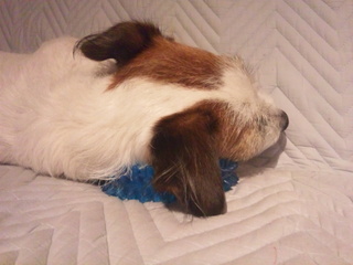 130111_200231.jpg