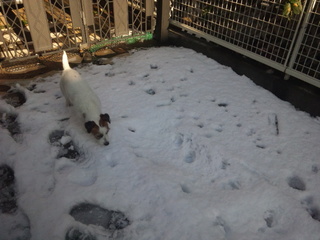 130115_085302.jpg