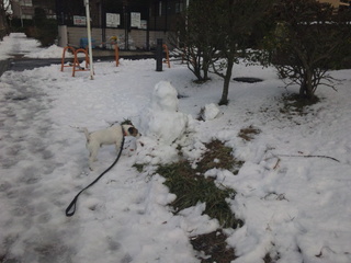 130115_140634.jpg