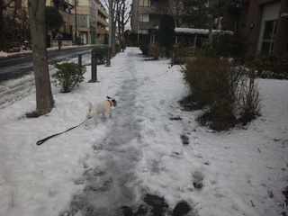 130115_140713.jpg