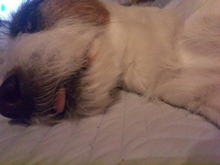 130202_200232.jpg