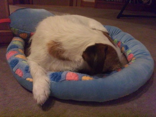 130202_200542.jpg