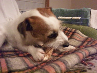 130218_172051.jpg