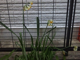 130221_085309.jpg