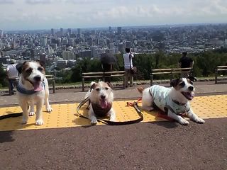 11-08-18_004.jpg