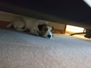 130225_093806.jpg