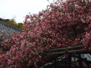 130325_105424.jpg