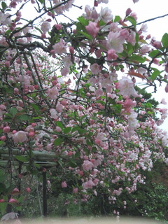 130325_105406.jpg