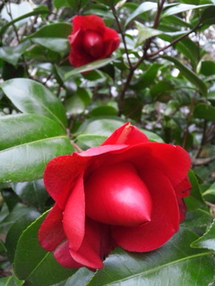 130325_105758.jpg