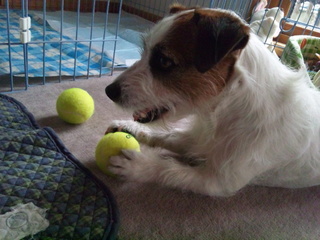 130401_150842.jpg