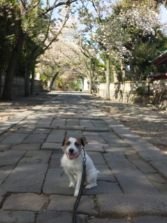 130408_152118.jpg
