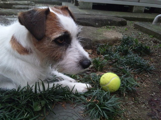 130417_151019.jpg