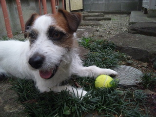 130417_150856.jpg