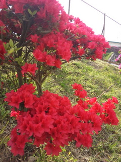 130423_143532.jpg
