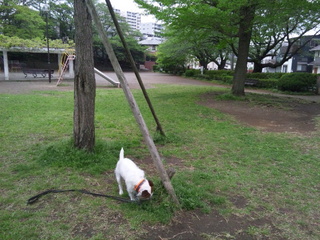 130424_105349.jpg