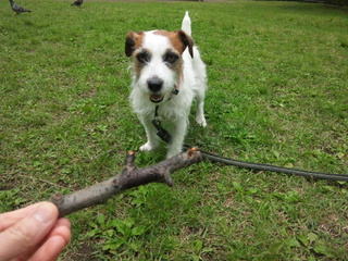 130424_105544.jpg