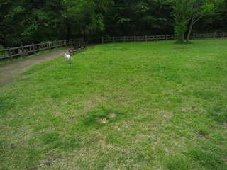 130424_105411.jpg