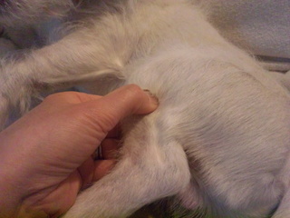 130424_170510.jpg