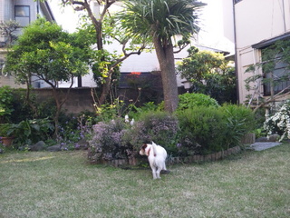 130428_164204.jpg