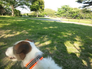 130428_160025.jpg
