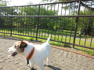130428_155442.jpg