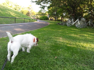 130428_155245.jpg