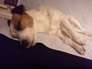 130503_191508.jpg