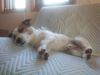 130514_173818.jpg