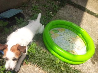130522_110853.jpg