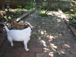 130524_150314.jpg