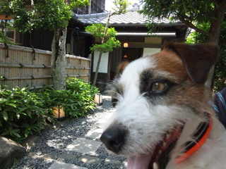 130526_113541.jpg