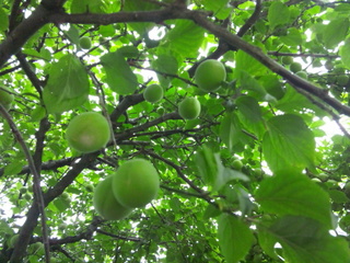 130601_154306.jpg