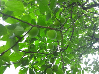 130601_154337.jpg