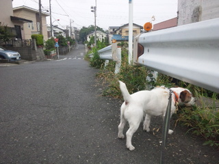 130610_064620.jpg