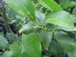 130616_131034.jpg