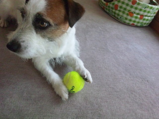 130622_085324.jpg