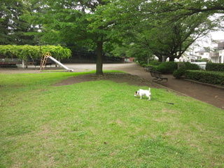 130624_092220.jpg
