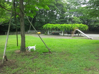 130624_092230.jpg