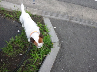 130628_152313.jpg