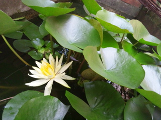 130706_103826.jpg