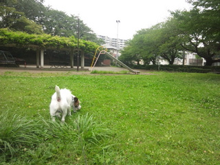 130731_125113.jpg