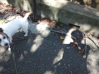 130917_095819.jpg