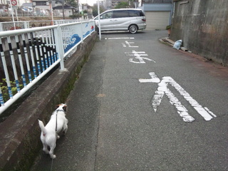 131007_161303.jpg