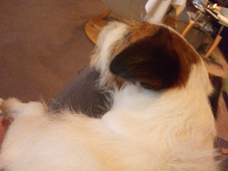 131029_085708.jpg