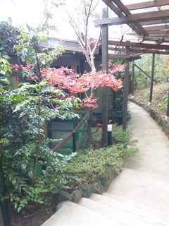 131217_150406.jpg